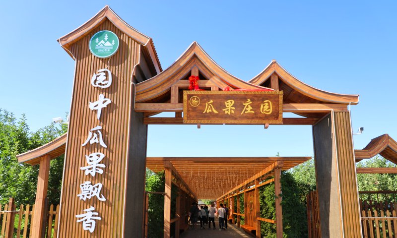 葡萄采摘——一场初秋的丰收盛宴